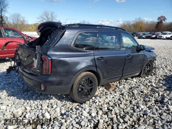 ✅ 2025 Kia Telluride SX-Prestige X-Line • VIN: 5XYP5DGC6SG606844 • Lot: 91716845. Wystawiony na Copart z przebiegiem 17 025 mil. Bezpłatny archiwum sprzedaży aukcyjnych z USA i szczegółowy raport historii pojazdu na DreamBid. Zdjęcie 3.