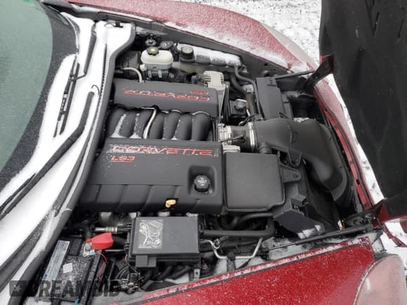 ✅ 2009 Chevrolet Corvette 1LT • VIN: 1G1YY25W795106488 • Lot: 42755275. Listed on Copart with 8,593 mi. Free auction sales archive from the USA and detailed vehicle history report at DreamBid. Image 11.