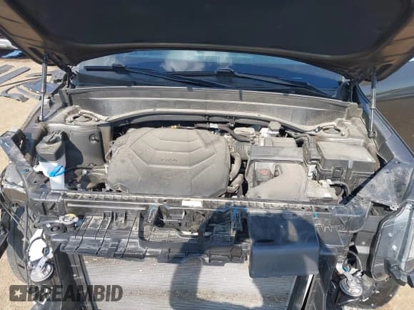 ✅ 2024 Kia Telluride S • VIN: 5XYP6DGC2RG521653 • Lot: 43234381. Wystawiony na IAAI z przebiegiem 43 083 mil. Bezpłatny archiwum sprzedaży aukcyjnych z USA i szczegółowy raport historii pojazdu na DreamBid. Zdjęcie 10.