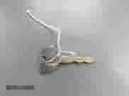 2001 Dodge 1500 with VIN 1B7HC16Z11S170010, listed as a IAAI auction lot 42971099 with Not provided miles and . Bid and sale history available at DreamBid. Image 11.