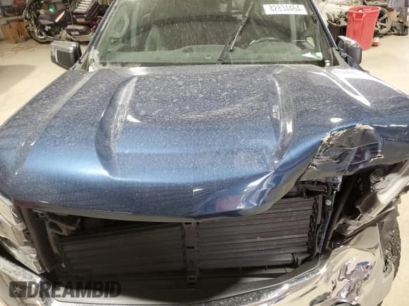 ✅ 2019 Chevrolet Silverado 1500 • VIN: 1GCRYGEL0KZ280206 • Lot: 82834464. Listed on Copart with 73,354 mi. Free auction sales archive from the USA and detailed vehicle history report at DreamBid. Image 11.