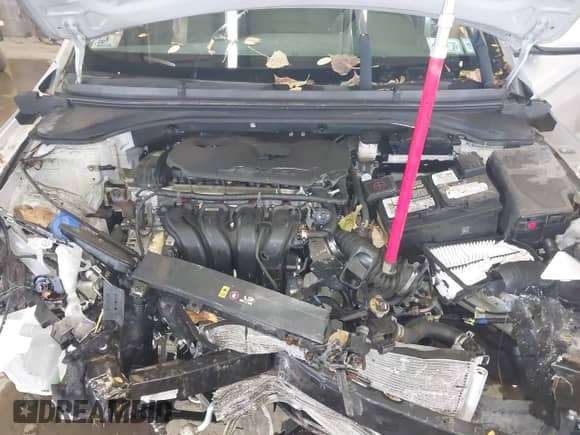 2019 Hyundai Elantra SE с VIN 5NPD74LF2KH443616, выставлен на аукционе IAAI как лот 43536168 с пробегом 28 332 миль миль и . История ставок и продаж доступна на DreamBid. Изображение 10.