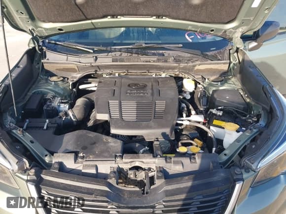 ✅ 2021 Subaru Forester • VIN: JF2SKADC2MH555974 • Lot: 42892800. Listed on IAAI with Not provided. Free auction sales archive from the USA and detailed vehicle history report at DreamBid. Image 10.