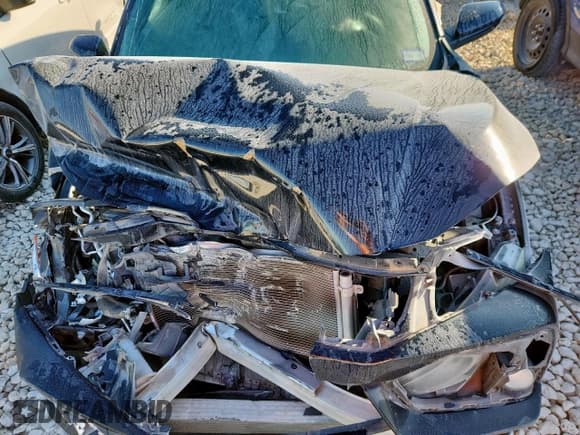 ✅ 2019 Honda Civic Si • VIN: 2HGFC1E52KH704275 • Lot: 91311605. Listed on Copart with Not provided. Free auction sales archive from the USA and detailed vehicle history report at DreamBid. Image 11.