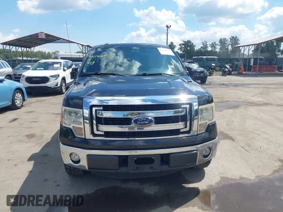 ✅ 2013 Ford F-150 • VIN: 1FTVW1CFXDKF99641 • Lot: 43114039. Wystawiony na IAAI z przebiegiem 200 258 mil. Bezpłatny archiwum sprzedaży aukcyjnych z USA i szczegółowy raport historii pojazdu na DreamBid. Zdjęcie 12.