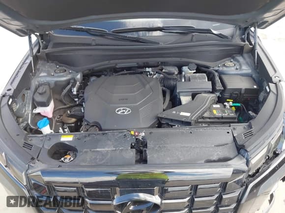 ✅ 2024 Hyundai Palisade SEL • VIN: KM8R44GE7RU763140 • Лот: 43392863. Опубликован ранее на IAAI с пробегом 19 573 миль. Бесплатный доступ к архиву аукционных продаж из США и подробный отчёт об истории автомобиля на DreamBid. Изображение 10.