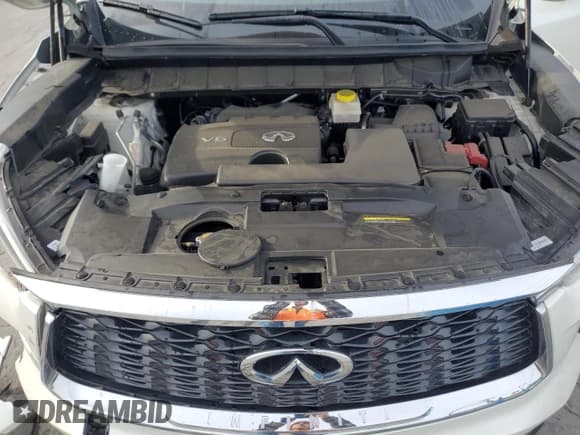 ✅ 2023 Infiniti QX60 Luxe • VIN: 5N1DL1FS8PC365408 • Lot: 89650415. Wystawiony na Copart z przebiegiem 27 443 mil. Bezpłatny archiwum sprzedaży aukcyjnych z USA i szczegółowy raport historii pojazdu na DreamBid. Zdjęcie 12.