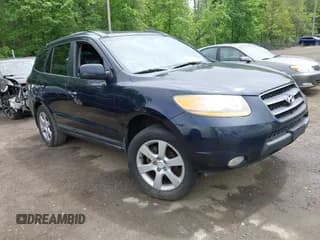 ✅ 2009 Hyundai Santa Fe SE • VIN: 5NMSH73E39H273478 • Lot: 42216820. Listed on IAAI with 196,233 mi. Free auction sales archive from the USA and detailed vehicle history report at DreamBid. Image 1.