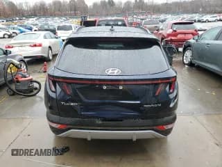✅ 2024 Hyundai Tucson Limited • VIN: KM8JECD16RU160637 • Lot: 80821004. Wystawiony na Copart z przebiegiem 8 248 mil. Bezpłatny archiwum sprzedaży aukcyjnych z USA i szczegółowy raport historii pojazdu na DreamBid. Zdjęcie 6.