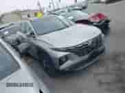 2024 Hyundai Tucson Limited with VIN KM8JECD15RU152271, listed as a IAAI auction lot 43496859 with 25,884 mi miles and . Bid and sale history available at DreamBid. Image 1.