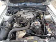 ✅ 2004 Ford Mustang Deluxe • VIN: 1FAFP44644F193077 • Lot: 42455984. Listed on IAAI with 138,265 mi. Free auction sales archive from the USA and detailed vehicle history report at DreamBid. Image 10.