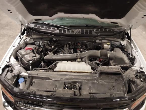 ✅ 2024 Ford F-150 XLT • VIN: 1FTFW3L84RKE63305 • Lot: 43008488. Wystawiony na IAAI z przebiegiem 12 973 mil. Bezpłatny archiwum sprzedaży aukcyjnych z USA i szczegółowy raport historii pojazdu na DreamBid. Zdjęcie 10.