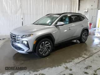 2025 Hyundai Tucson Limited с VIN KM8JEDD15SU299153, выставлен на аукционе Copart как лот 80911735 с пробегом 3 328 миль миль и Списание • Salvage title. История ставок и продаж доступна на DreamBid. Изображение 1.
