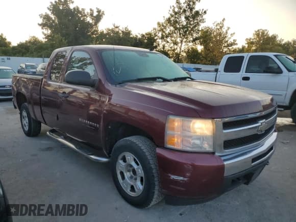 ✅ 2009 Chevrolet Silverado 1500 LT • VIN: 1GCEC29089Z227425 • Lot: 70397234. Listed on Copart with 242,425 mi. Free auction sales archive from the USA and detailed vehicle history report at DreamBid. Image 4.