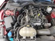 ✅ 2021 Ford Mustang EcoBoost • VIN: 1FA6P8TH0M5135239 • Lot: 81578095. Listed on Copart with 34,419 mi. Free auction sales archive from the USA and detailed vehicle history report at DreamBid. Image 15.