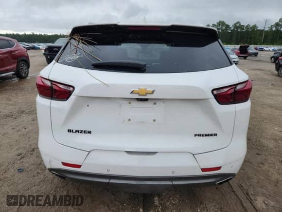2019 Chevrolet Blazer Premier with VIN 3GNKBFRS7KS672585, listed as a Copart auction lot 67810665 with Not provided miles and Salvage title. Bid and sale history available at DreamBid. Image 6.