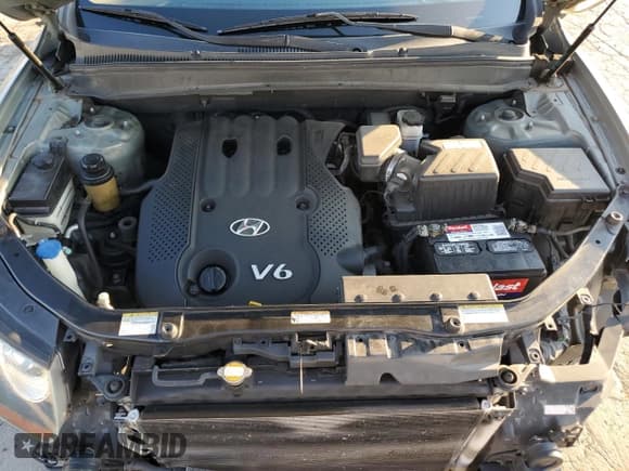 ✅ 2007 Hyundai Santa Fe GLS • VIN: KM8SG13DX7U132254 • Lot: 73983614. Listed on Copart with 132,154 mi. Free auction sales archive from the USA and detailed vehicle history report at DreamBid. Image 12.