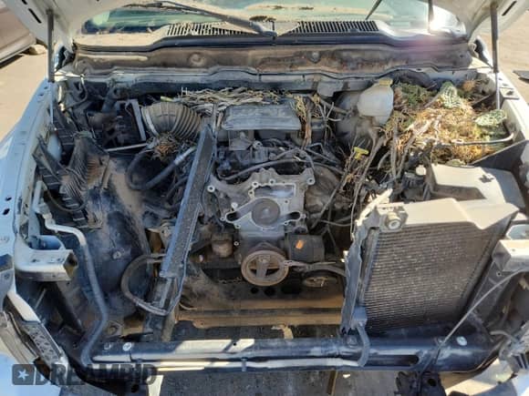 2003 Dodge 1500 ST с VIN 1D7HU18D03S245612, выставлен на аукционе Copart как лот 90607005 с пробегом 292 869 миль миль и Чистый • Clean title. История ставок и продаж доступна на DreamBid. Изображение 11.