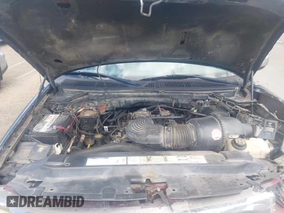 ✅ 1999 Ford F-150 XL • VIN: 2FTRX08L8XCB13909 • Lot: 43072515. Listed on IAAI with 219,146 mi. Free auction sales archive from the USA and detailed vehicle history report at DreamBid. Image 10.