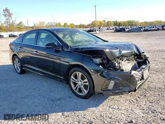 ✅ 2019 Hyundai Sonata Sport • VIN: 5NPE34AF3KH787751 • Lot: 87017295. Listed on Copart with 36,739 mi. Free auction sales archive from the USA and detailed vehicle history report at DreamBid. Image 13.