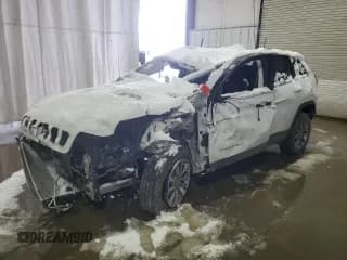 ✅ 2020 Jeep Cherokee Lux • VIN: 1C4PJMLXXLD502183 • Lot: 88770975. Wystawiony na Copart z przebiegiem Nie podano. Bezpłatny archiwum sprzedaży aukcyjnych z USA i szczegółowy raport historii pojazdu na DreamBid. Zdjęcie 1.