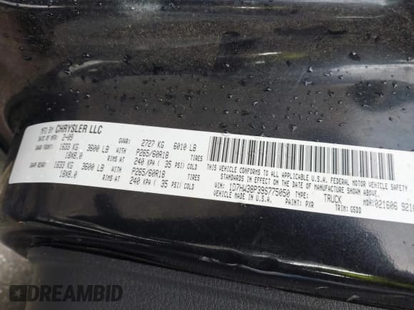 ✅ 2009 Dodge Dakota Bighorn/Lonestar • VIN: 1D7HW38P39S775050 • Lot: 43567558. Wystawiony na IAAI z przebiegiem 193 516 mil. Bezpłatny archiwum sprzedaży aukcyjnych z USA i szczegółowy raport historii pojazdu na DreamBid. Zdjęcie 9.