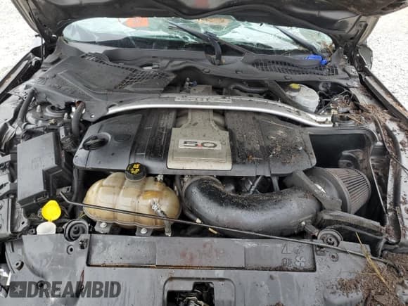 ✅ 2018 Ford Mustang GT Premium • VIN: 1FA6P8CF0J5116779 • Lot: 80957965. Listed on Copart with Not provided. Free auction sales archive from the USA and detailed vehicle history report at DreamBid. Image 11.