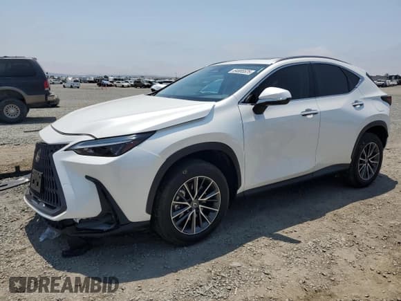 ✅ 2024 Lexus NX 250 • VIN: JTJADCAZ3R2013850 • Lot: 64885525. Wystawiony na Copart z przebiegiem 22 111 mil. Bezpłatny archiwum sprzedaży aukcyjnych z USA i szczegółowy raport historii pojazdu na DreamBid. Zdjęcie 1.