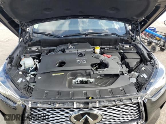 ✅ 2024 Infiniti QX50 Luxe • VIN: 3PCAJ5BA6RF105774 • Lot: 44301445. Listed on Copart with 2,532 mi. Free auction sales archive from the USA and detailed vehicle history report at DreamBid. Image 12.