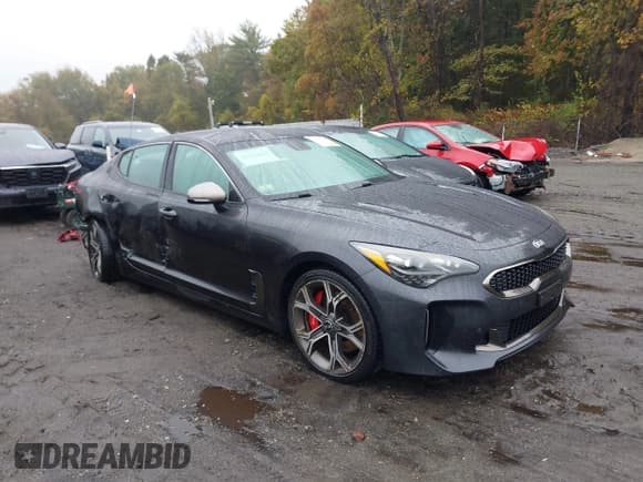 ✅ 2019 Kia Stinger GT • VIN: KNAE35LC4K6056729 • Лот: 43431185. Опубликован ранее на IAAI с пробегом 125 917 миль. Бесплатный доступ к архиву аукционных продаж из США и подробный отчёт об истории автомобиля на DreamBid. Изображение 1.