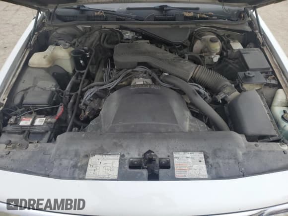 ✅ 1992 Mercury Grand Marquis GS • VIN: 2MECM74W2NX727883 • Lot: 82636234. Wystawiony na Copart z przebiegiem 56 804 mil. Bezpłatny archiwum sprzedaży aukcyjnych z USA i szczegółowy raport historii pojazdu na DreamBid. Zdjęcie 12.