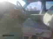 1997 Dodge 1500 with VIN 1B7HC13Y7VJ620976, listed as a Copart auction lot 80925694 with 155,723 mi miles and Salvage title. Bid and sale history available at DreamBid. Image 7.