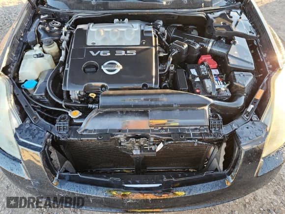 ✅ 2005 Nissan Maxima SL • VIN: 1N4BA41E25C872361 • Лот: 91106165. Опубликован ранее на Copart с пробегом 141 114 миль. Бесплатный доступ к архиву аукционных продаж из США и подробный отчёт об истории автомобиля на DreamBid. Изображение 11.