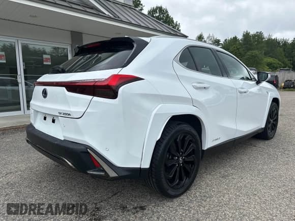 ✅ 2022 Lexus UX 250h F Sport • VIN: JTHR9JBH5N2060372 • Лот: 42521654. Опубликован ранее на IAAI с пробегом 110 619 миль. Бесплатный доступ к архиву аукционных продаж из США и подробный отчёт об истории автомобиля на DreamBid. Изображение 4.
