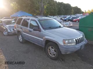 ✅ 2000 Jeep Grand Cherokee Laredo • VIN: 1J4GW48SXYC103733 • Lot: 43339752. Listed on IAAI with 162,365 mi. Free auction sales archive from the USA and detailed vehicle history report at DreamBid. Image 1.