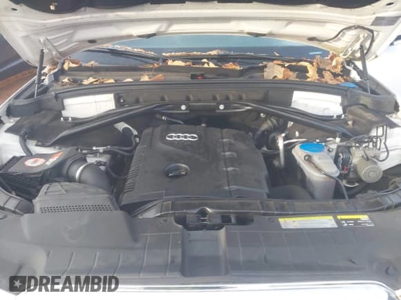 ✅ 2014 Audi Q5 Premium Plus • VIN: WA1LFAFP1EA030917 • Lot: 43901765. Wystawiony na IAAI z przebiegiem 167 306 mil. Bezpłatny archiwum sprzedaży aukcyjnych z USA i szczegółowy raport historii pojazdu na DreamBid. Zdjęcie 10.