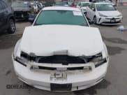 ✅ 2010 Ford Mustang V6 • VIN: 1ZVBP8AN5A5146148 • Lot: 43361975. Listed on IAAI with 91,063 mi. Free auction sales archive from the USA and detailed vehicle history report at DreamBid. Image 13.