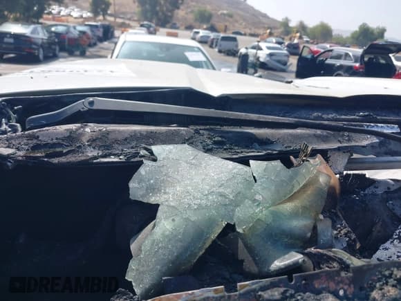 ✅ 2019 Ford F-150 XL • VIN: 1FTEX1CB3KKD64781 • Lot: 42498619. Listed on IAAI with Not provided. Free auction sales archive from the USA and detailed vehicle history report at DreamBid. Image 15.