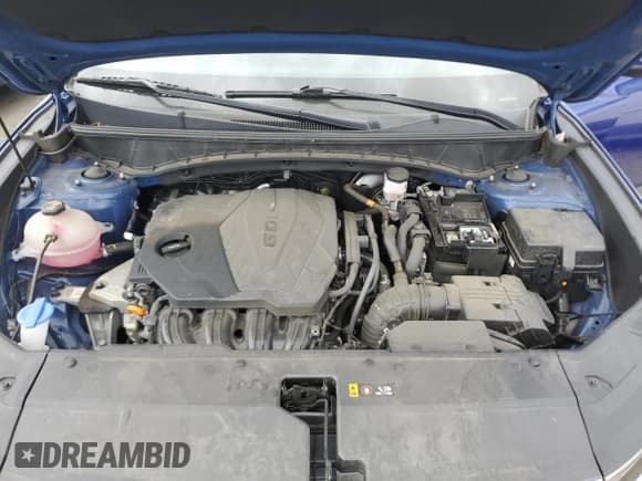 ✅ 2022 Hyundai Tucson SEL • VIN: 5NMJCCAE4NH099789 • Lot: 68246674. Wystawiony na Copart z przebiegiem 35 507 mil. Bezpłatny archiwum sprzedaży aukcyjnych z USA i szczegółowy raport historii pojazdu na DreamBid. Zdjęcie 12.