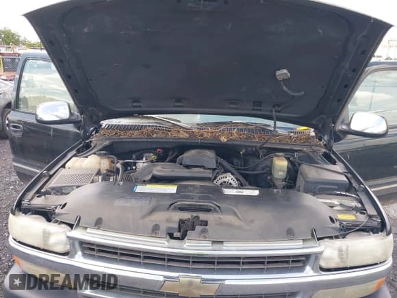 ✅ 1999 Chevrolet Silverado 1500 LT • VIN: 1GCEK19T1XE196398 • Лот: 42374783. Опубликован ранее на IAAI с пробегом 170 578 миль. Бесплатный доступ к архиву аукционных продаж из США и подробный отчёт об истории автомобиля на DreamBid. Изображение 10.