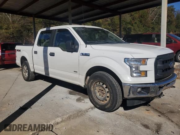 ✅ 2017 Ford F-150 XL • VIN: 1FTEW1EP1HFC55569 • Lot: 82557665. Wystawiony na Copart z przebiegiem 170 904 mil. Bezpłatny archiwum sprzedaży aukcyjnych z USA i szczegółowy raport historii pojazdu na DreamBid. Zdjęcie 4.