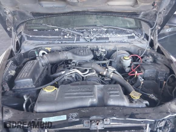 ✅ 2000 Dodge Dakota • VIN: 1B7GL22X2YS587619 • Lot: 43484603. Listed on IAAI with 230,262 mi. Free auction sales archive from the USA and detailed vehicle history report at DreamBid. Image 10.