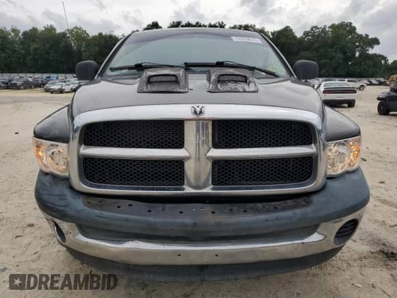 2004 Dodge 1500 SLT z VIN 1D7HA18N14S672882, wystawiony jako Copart lot #73353814 z przebiegiem 131 622 mil mil oraz Szkoda całkowita • Salvage title. Historia ofert i sprzedaży dostępna na DreamBid. Obrazek 5.