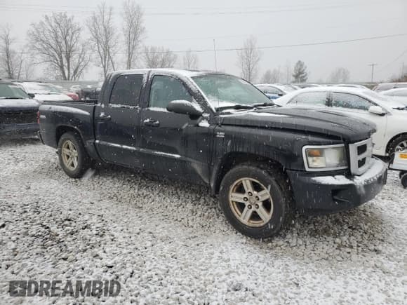 ✅ 2011 Ram Dakota Big Horn • VIN: 1D7RW3GP0BS638742 • Лот: 82956984. Опубликован ранее на Copart с пробегом 241 272 миль. Бесплатный доступ к архиву аукционных продаж из США и подробный отчёт об истории автомобиля на DreamBid. Изображение 4.