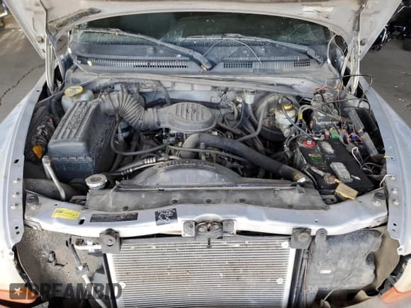 ✅ 1999 Dodge Dakota SLT • VIN: 1B7GG22Y0XS259031 • Lot: 87972505. Wystawiony na Copart z przebiegiem 153 354 mil. Bezpłatny archiwum sprzedaży aukcyjnych z USA i szczegółowy raport historii pojazdu na DreamBid. Zdjęcie 13.