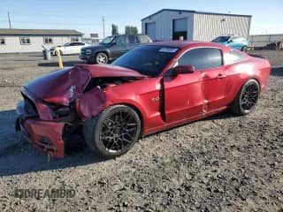 2014 Ford Mustang GT с VIN 1ZVBP8CF2E5334007, выставлен на аукционе Copart как лот 83769285 с пробегом 71 697 миль миль и Списание • Salvage title. История ставок и продаж доступна на DreamBid. Изображение 1.