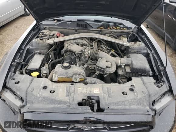 2014 Ford Mustang V6 с VIN 1ZVBP8EM1E5305903, выставлен на аукционе Copart как лот 86144315 с пробегом 172 158 миль миль и Списание • Salvage title. История ставок и продаж доступна на DreamBid. Изображение 11.