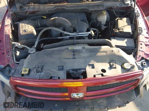 2013 Ram 1500 Express с VIN 1C6RR6FT3DS655188, выставлен на аукционе IAAI как лот 43339156 с пробегом 248 721 миль миль и . История ставок и продаж доступна на DreamBid. Изображение 10.