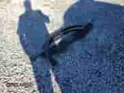 2009 Saturn VUE XR с VIN 3GSCL53709S604992, выставлен на аукционе Copart как лот 85943154 с пробегом Не указан миль и Списание • Salvage title. История ставок и продаж доступна на DreamBid. Изображение 13.