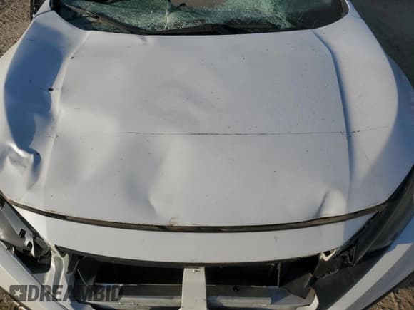 ✅ 2020 Honda Civic EX • VIN: 2HGFC2F71LH021958 • Lot: 81299185. Listed on Copart with Not provided. Free auction sales archive from the USA and detailed vehicle history report at DreamBid. Image 11.